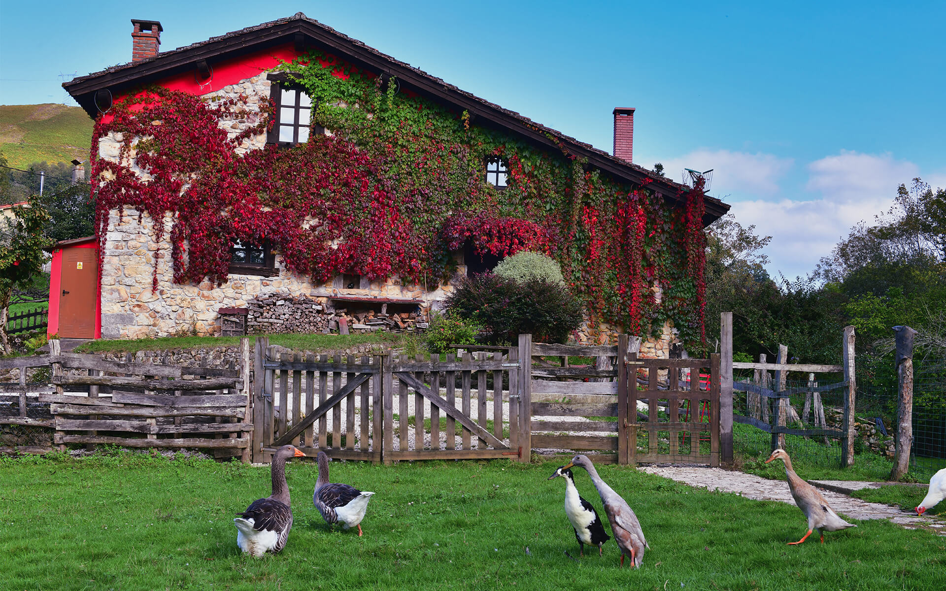 Casa Rural con Animales