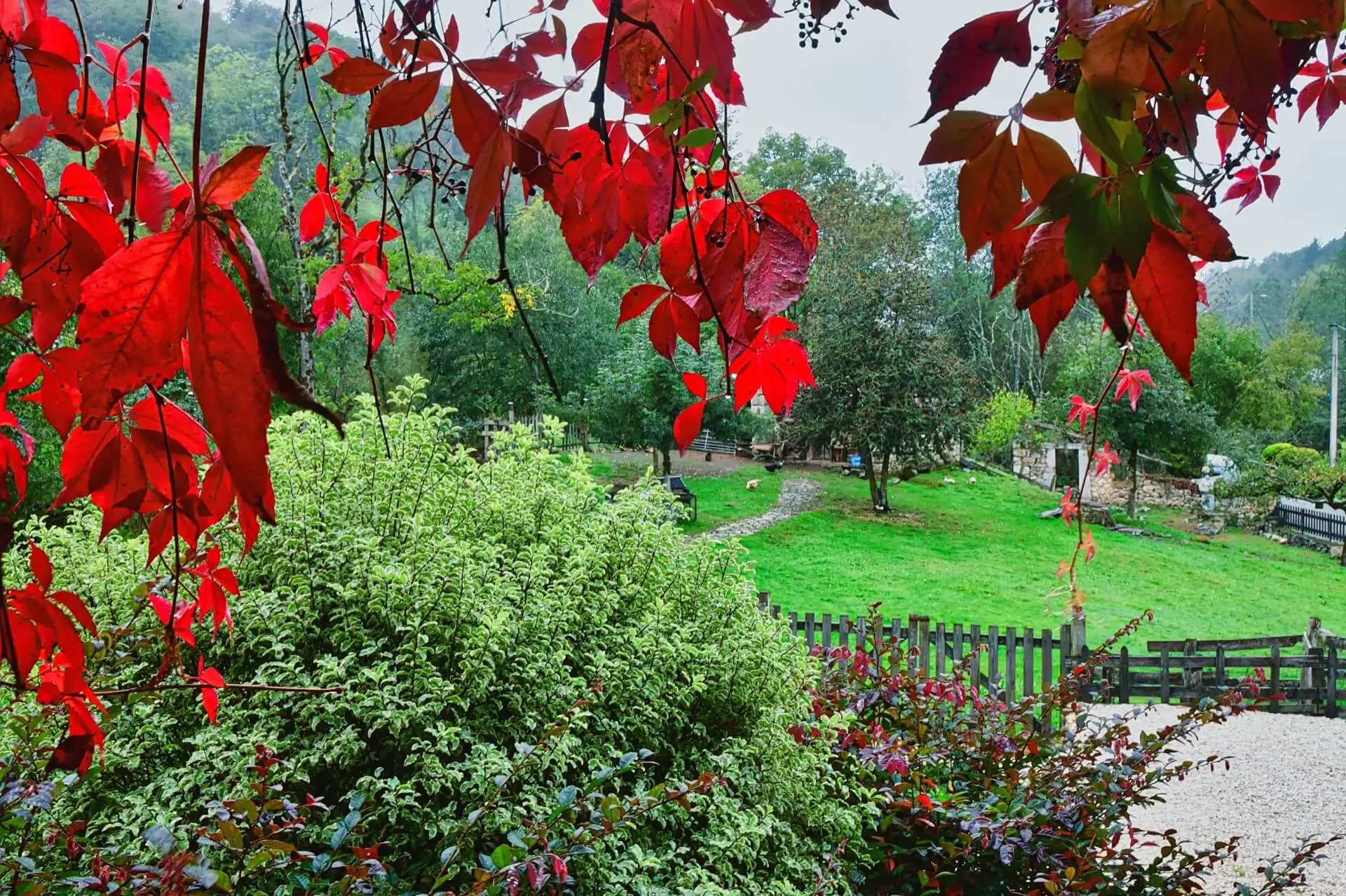 Pueblo de Sirviella, Onís, Asturias